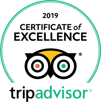 TripAdvisor